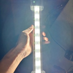 レグナス40cmガラス水槽の画像
