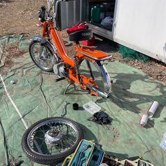 TOMOSクラシックの画像