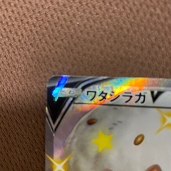 ワタシラガVSSRの画像