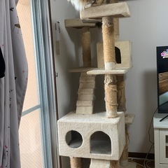 キャットタワー
の画像