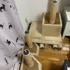 キャットタワー
の画像