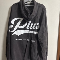 AAAパーカー グレーの画像