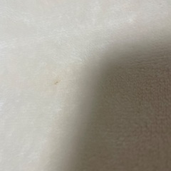 カーペット　中古の画像