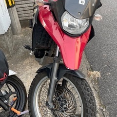 デルビ　テラの画像