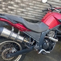 デルビ　テラの画像