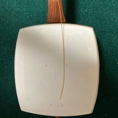琴？の画像