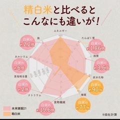 未開封❣️マンナン無添加未来雑穀400g×２袋の画像