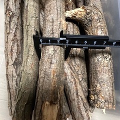 昆虫用　のぼり木、止まり木の画像