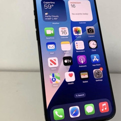 【美品】iPhone 15 Pro Max｜1024gb｜SIMフリーの画像