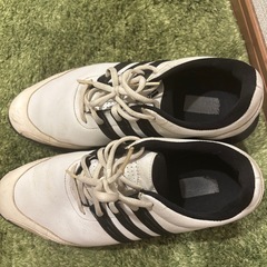 【adidas】（26.5 ゴルフシューズの画像