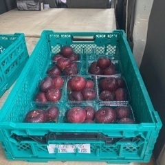 【8/20〜】週4日稼働。いちじくを5件の店舗に配達。の画像
