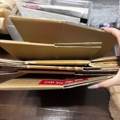 60cmサイズ6個の画像