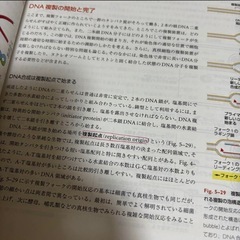細胞の分子生物学　第４版の画像