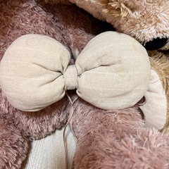 ダッフィー&シェリーメイの画像