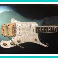 ベンチャーズ や昭和歌謡など様々なジャンルのバンドでベースをお願...