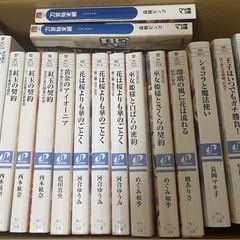 小説②  角川ビーンズ文庫の画像