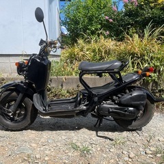 ズーマー　ホンダの画像