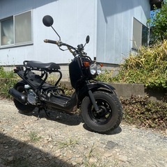 ズーマー　ホンダの画像
