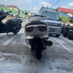 MF08 フォルツァ　実動　低走行　埼玉県戸田市の画像