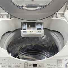 送料・設置込み可　洗濯機　8kg SHARP 2019年【分解クリーニング済み】の画像