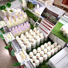 東武百貨店船橋店の北海道物産展での販売員募集！の画像