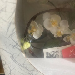 造花の画像
