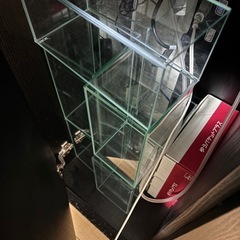 引越しに伴い水槽売ります！の画像