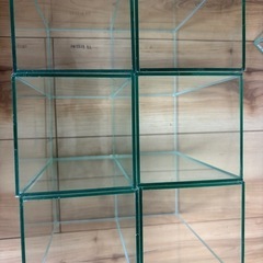 GEXガラス水槽の画像