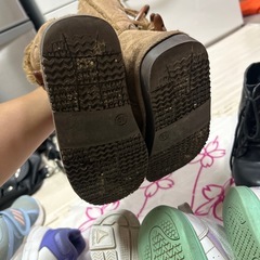 19センチの画像