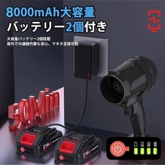 ブロワー 洗車 強力ブロー 小型 電動 エアダスター バッテリー 2個付き 掃除の画像