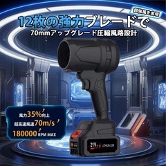ブロワー 洗車 強力ブロー 小型 電動 エアダスター バッテリー 2個付き 掃除の画像