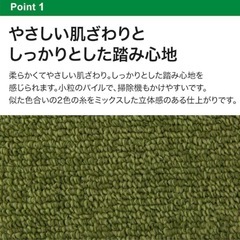ニトリ　カーペット　江戸間6畳用の画像