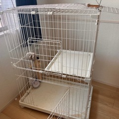 猫のゲージの画像