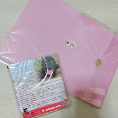 新品カレンダー保護動物の画像