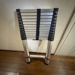伸縮ハシゴ　美品の画像