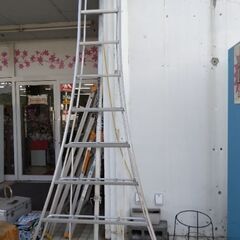 巨大　脚立　造園　ガーデニング　農家　ハシゴ　の画像