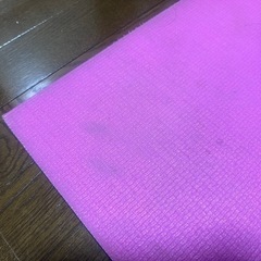 トランポリン マット込みの画像