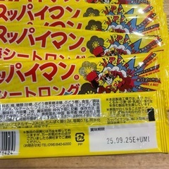 スッパイマン梅シートロング　2枚入りの画像