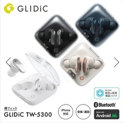 未開封　カナルワークスTW3500の画像
