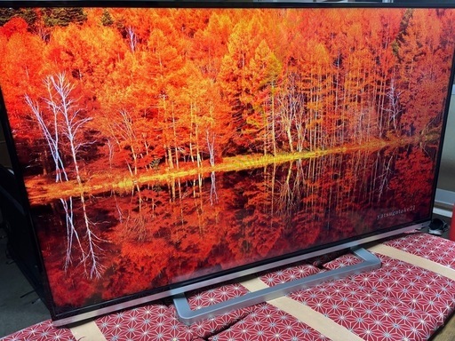 在庫整理〜格安〜早い物勝ち！TOSHIBA LED REGZA 50G9 50型　超美品