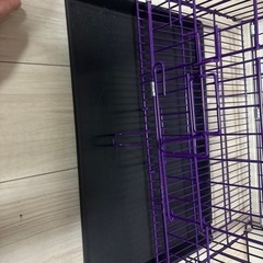 子犬用ゲージの画像