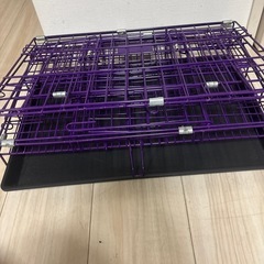 子犬用ゲージの画像