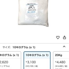 　【早い者勝ち】エレキブラシ　　塩化マグネシウム付き　の画像