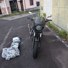 エリミネーター２５０SEの画像