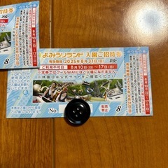 よみうりランド 入場券 2025年8月31日まで　2枚 ペアチケット　①の画像