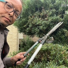 お庭のお手入れ致します。庭のリフォームもお任せを  所沢市狭山市...