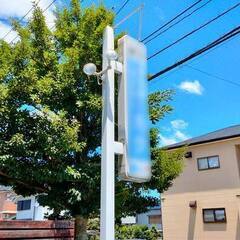【伐採】電線越え・お店駐車場の6.5ｍ木(シンボルツリー)の伐採...