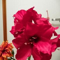 無料差し上げますアマリリスとダリアの造花のみ花瓶はつきませんの画像