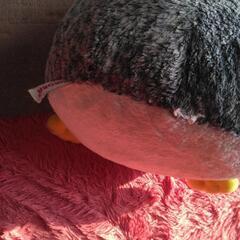 AURORA ペンギンさんのぬいぐるみの画像