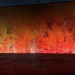 在庫整理〜格安〜早い物勝ち！AQUOS 2018年製 40型 液晶テレビ 4T-C40AJ1 液晶ムラありの画像